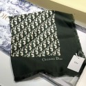 Best Quality Dior Scarf DR0766