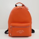 Copy Dior Backpack DR0111