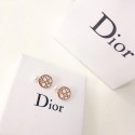 Designer Copy Dior Earrings DR0699