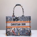 Dior Book Tote DR0265