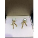 Dior Earrings DR0659