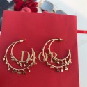 Dior Earrings DR0728