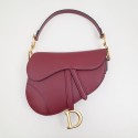 Dior Saddle Bag DR0153