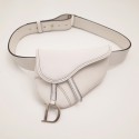 Dior saddle DR0143