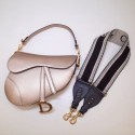 Dior saddle DR0144