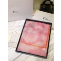 Dior Scarf DR0739