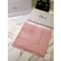 Dior Scarf DR0746