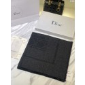 Dior Scarf DR0747