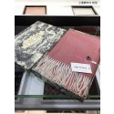 Dior Scarf DR0752