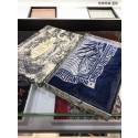 Dior Scarf DR0755