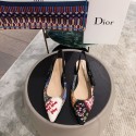 Dior shoes Shoes DR0520