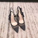 Dior Tulle Slingback With 10cm DR0521