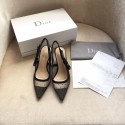 Dior Tulle Slingback With 6.5cm DR0623