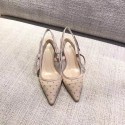 Dior Tulle Slingback With 6.5cm DR0624