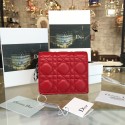 Dior Wallet DR0789