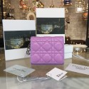 Dior Wallet DR0790