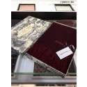 Fake Dior Scarf DR0751