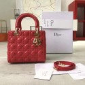 Fake High Quality Lady Dior DR0410