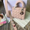 Fake Lady Dior DR0371