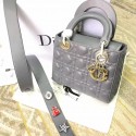 Fake Lady Dior DR0397