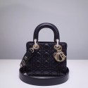 Fashion Replica Lady Dior DR0101