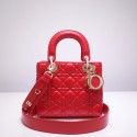 Hot Lady Dior DR0099