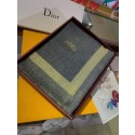 Imitation Dior Scarf DR0740