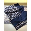 Imitation Dior Scarf DR0764