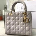 Knockoff Lady Dior DR0407