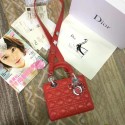 Lady Dior DR0374