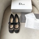 Luxury Dior Ballet Pumps DR0467