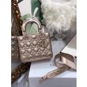 Luxury Fake Lady Dior DR0316