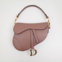 Replica Dior Saddle Bag DR0151