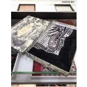 Replica Dior Scarf DR0754