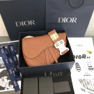 Dior saddle DR0301