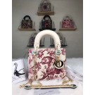 Lady Dior mini DR0322