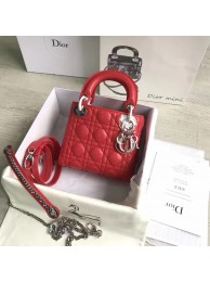 Designer Lady Dior mini DR0425